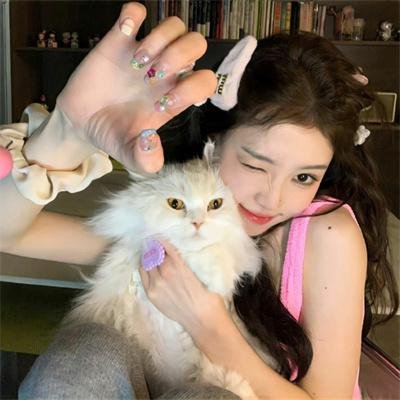 半妖的夜叉姬第二季